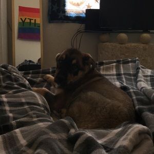 Meet your Posher, Quincy